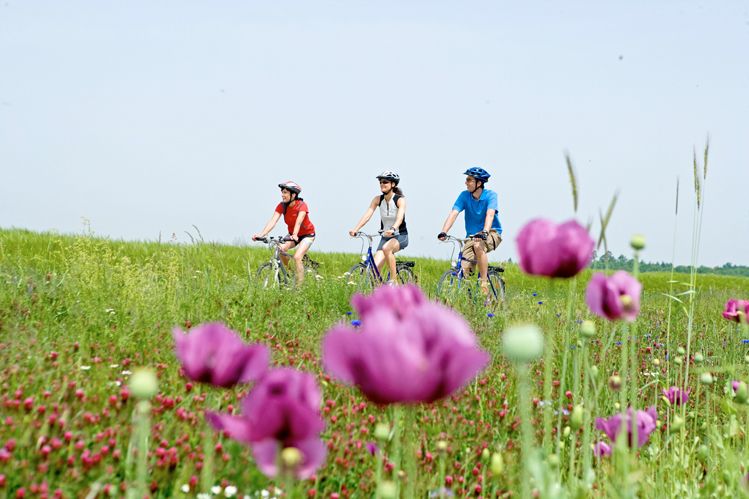 Bad Hall Aktivitäten Sport und Freizeit Radfahren